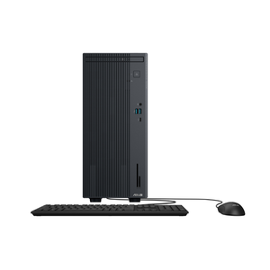 PC ASUS P500MV-03100U0040 (Core 3 100U | 8GB | 256GB | DOS)